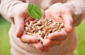 Energie Alternative - Biomassa